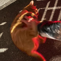 Going2Fast