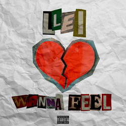 Wanna Feel