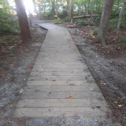The Long Road Ahead
