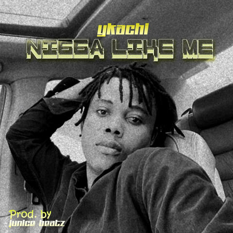 Nigga Like Me