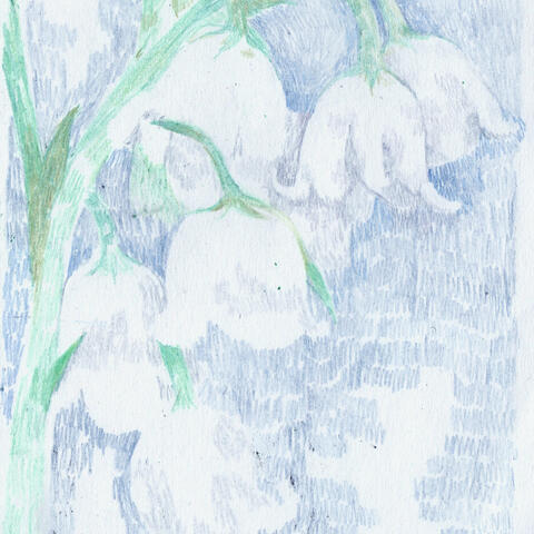 hear a whisper