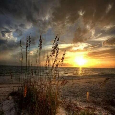 Happy Dreams