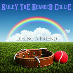 The Empty Leash
