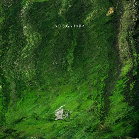 Aokigahara