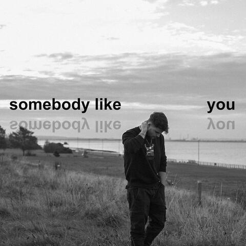 Somebody Like You