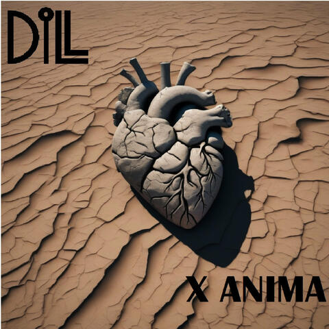 X-Anima