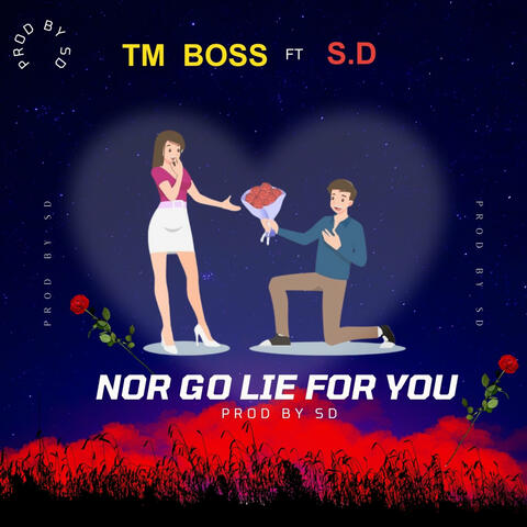 No Go Lie for You