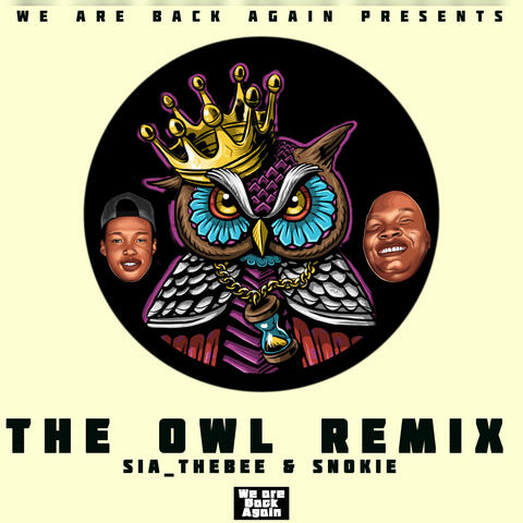The Owl Remix