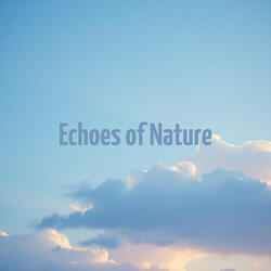 Soft Waves of Time