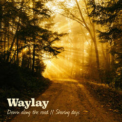 Sharing Days