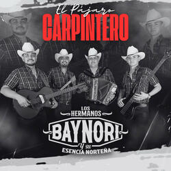 El Pájaro Carpintero