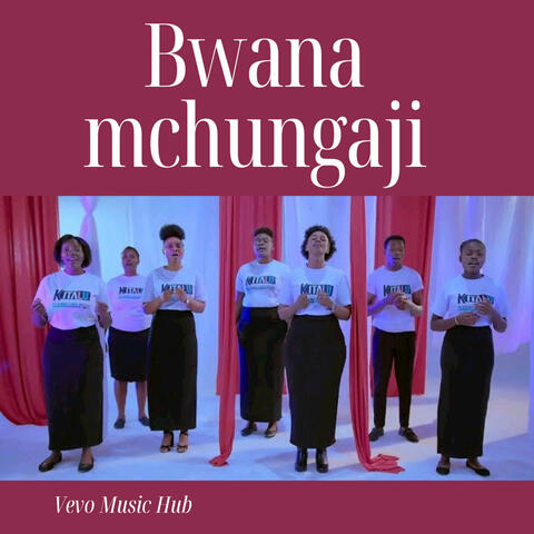 Bwana Mchungaji