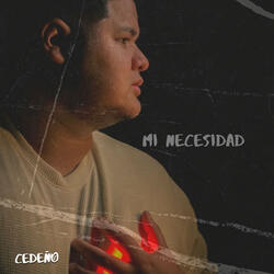 Mi Necesidad