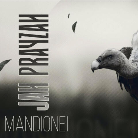 Mandionei