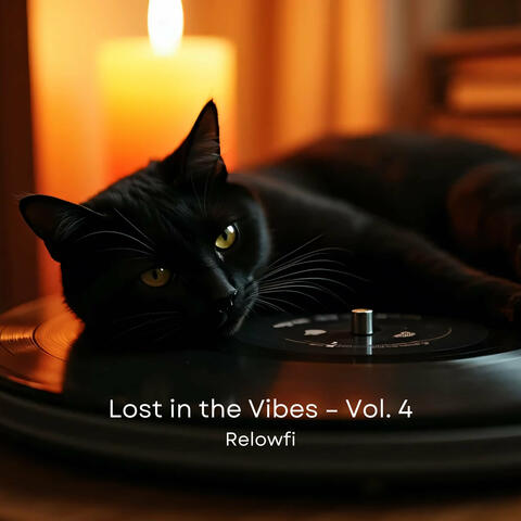 Lost in the Vibes