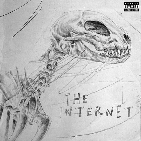 The Internet