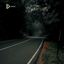 Dreams We Chased