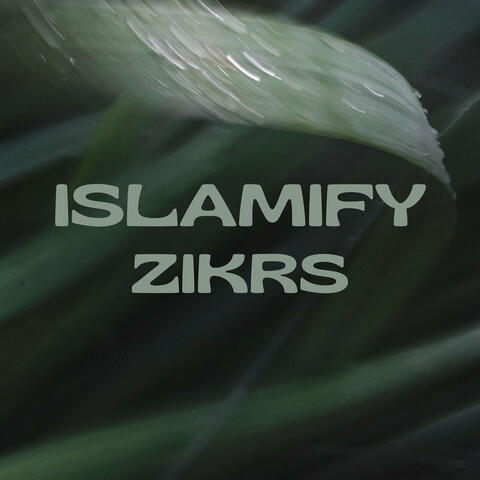 Zikrs