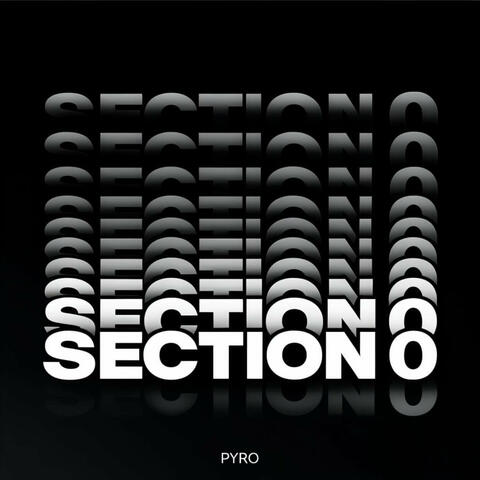 Section 0