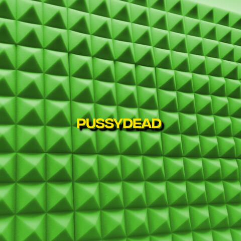Pussydead