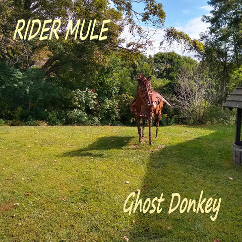 Rider Mule