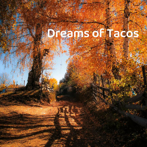 Dreams of Tacos