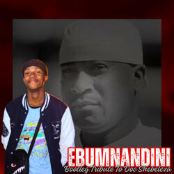 Ebumnandini