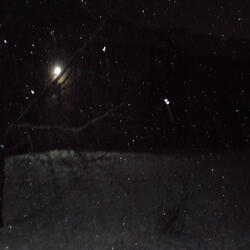 In the Night Instrumental