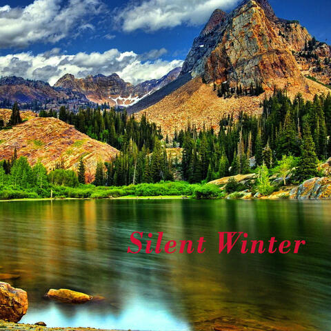 Silent Winter