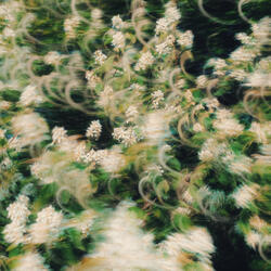 Every Kiss Is a New Beginning