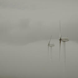 Whispered Dreams