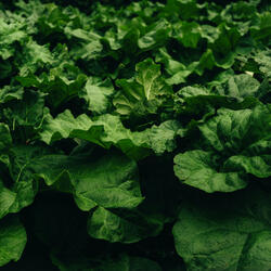 Dancing Under a Sky of Love