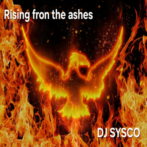 Rising from the Ashes