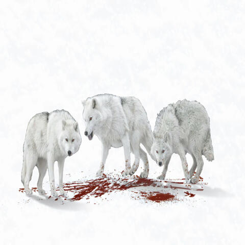 The Price Of Life