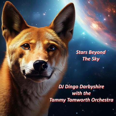 Stars Beyond the Sky