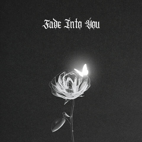 Fade into You
