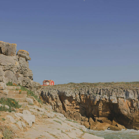 Beneath the Crimson Sky, Beautiful Dreams Blossom in Unlikely Places