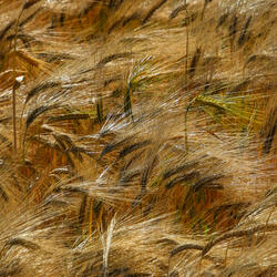 Infinite Clear Skies Reflect Dreams, Mirroring the Beauty of Silence