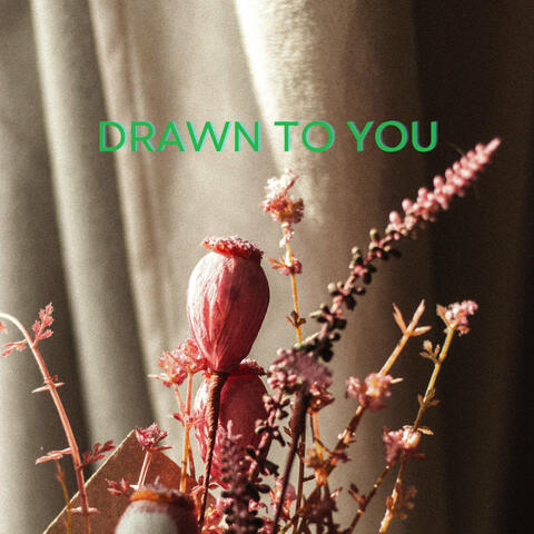 Drawn to You