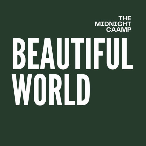 Beautiful World