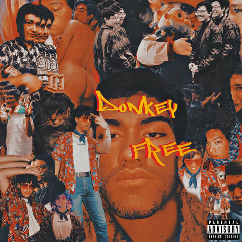 Donkey Free