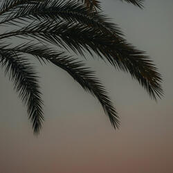 Love's Guiding Light