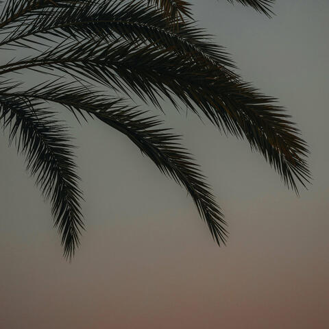 Love's Guiding Light