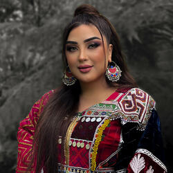 Paayzib