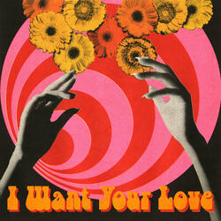 I Want Your Love
