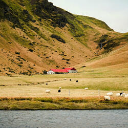 With Every Whisper, Love Speaks