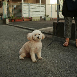 Every Kiss is a Silent Promise