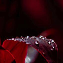 Dancing in the Rain with You