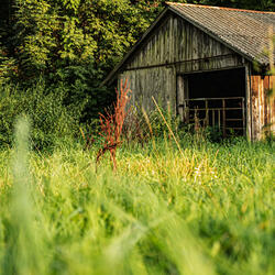 Your Love is the Fire in Me