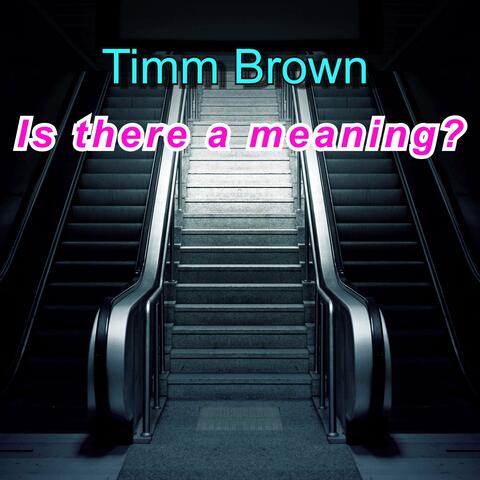 Is There a Meaning?